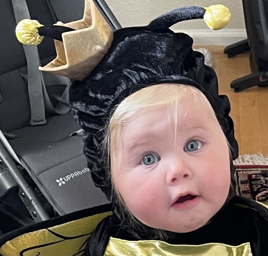 Here she is, the queen bee (Halloween 2023)